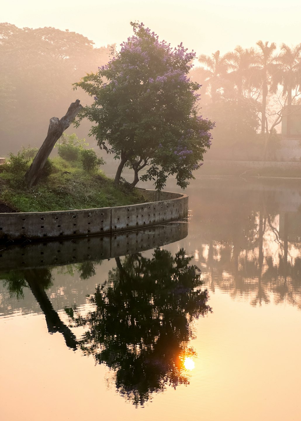 Sunrise reflects on a calm lake surrounding a small grassy island.