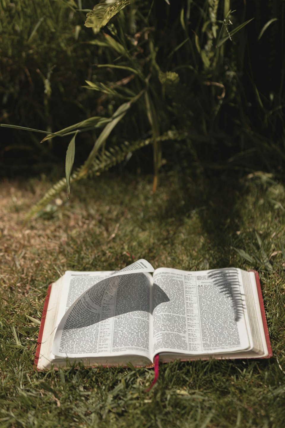 Open book with red bookmark on grass.
